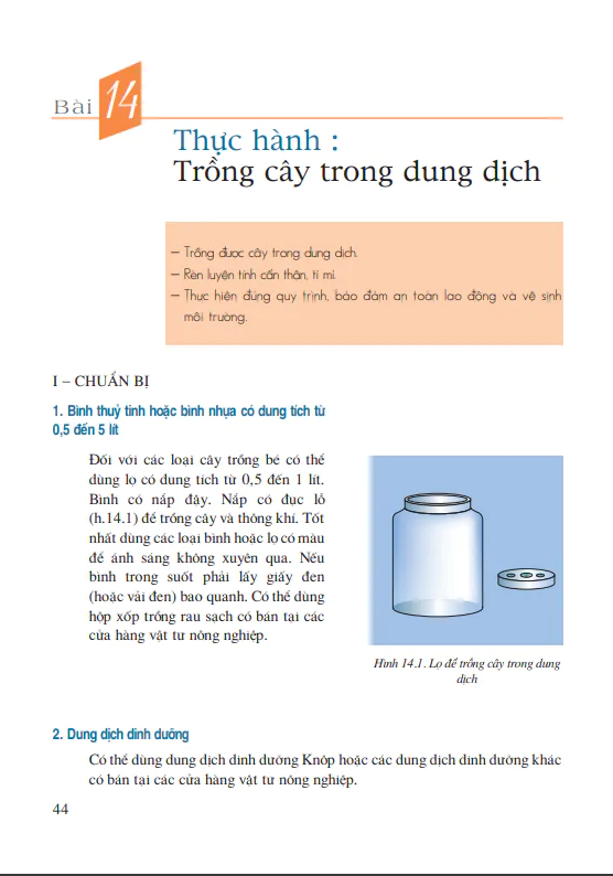 Bài 14: Thực hành: Trồng cây trong dung dịch