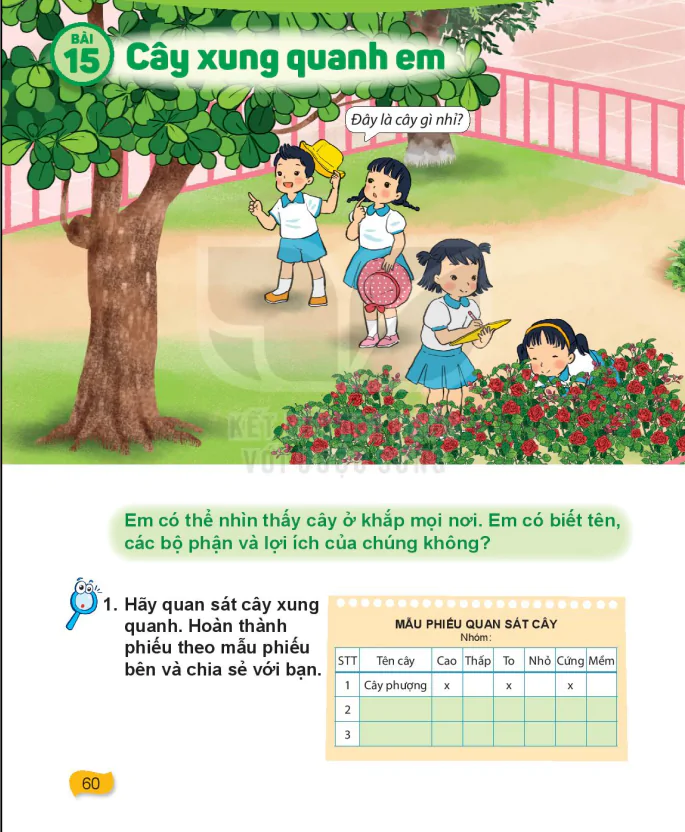 Bài 15: Cây Xung Quanh Em