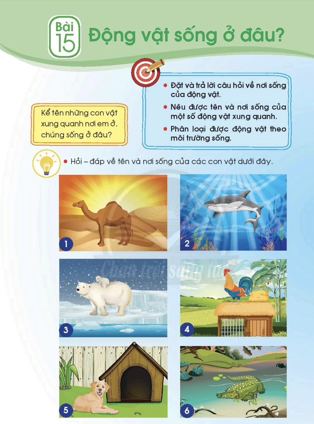 Bài 15: Động vật sống ở đâu?