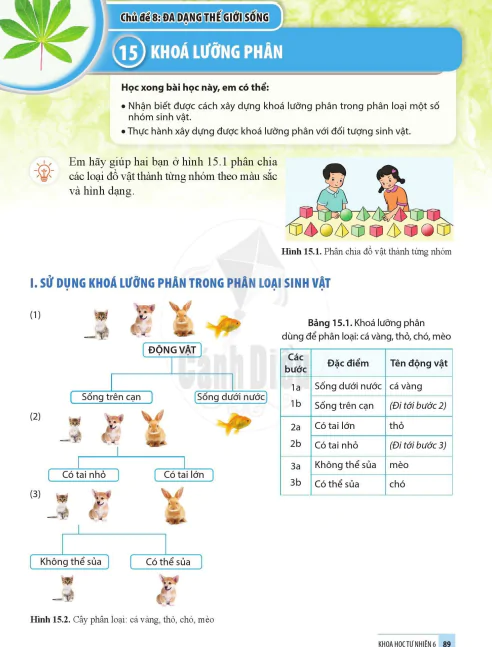 Bài 15. KHOÁ LƯỠNG PHÂN