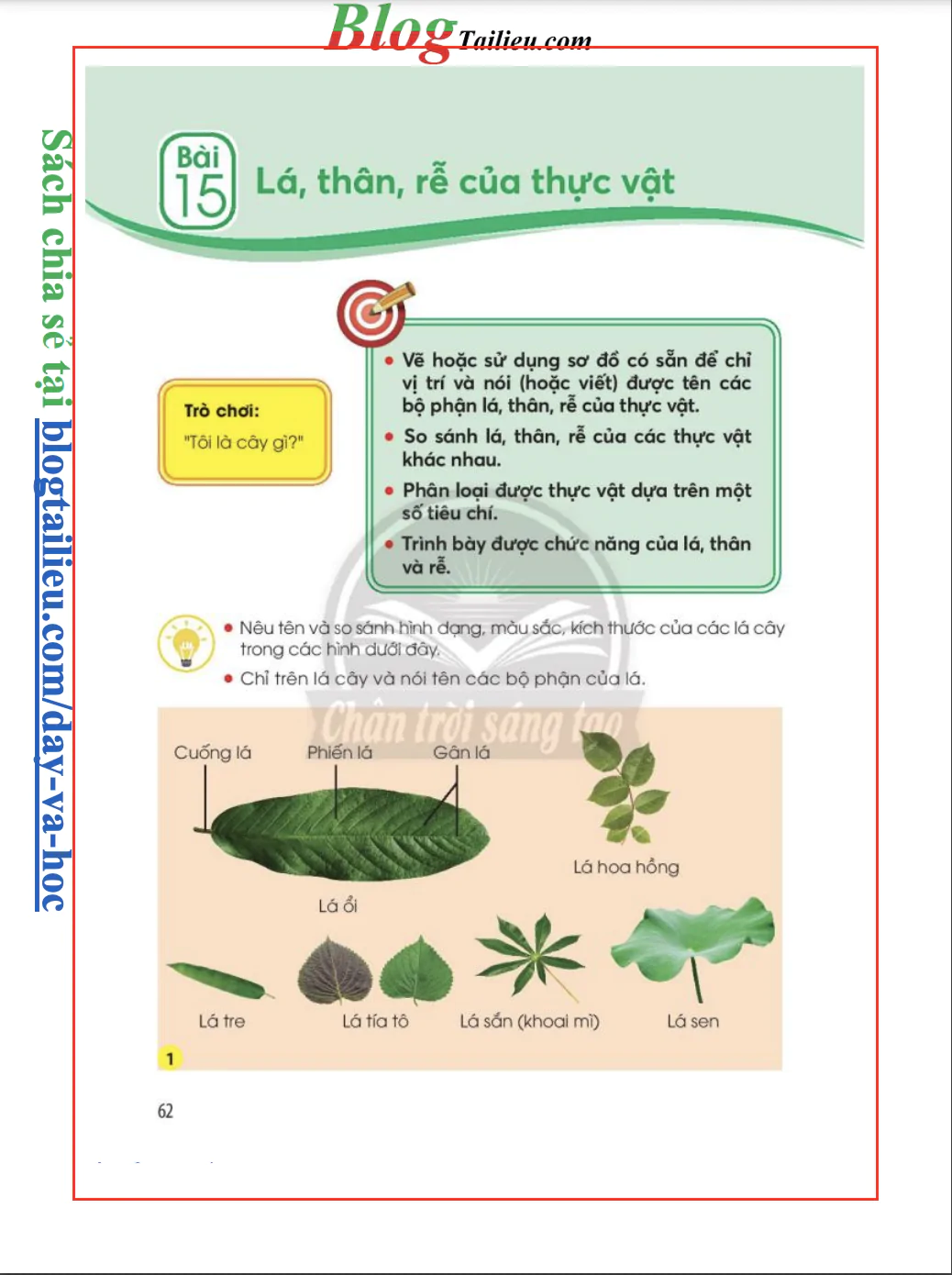 Bài 15: Lá thân rễ của thực vật 