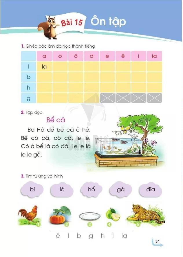 Bài 15: Ôn tập