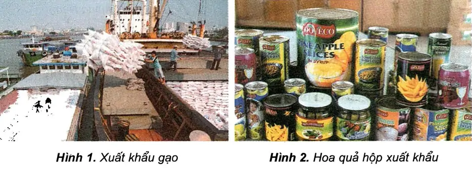 Bài 15: Thương mại và du lịch