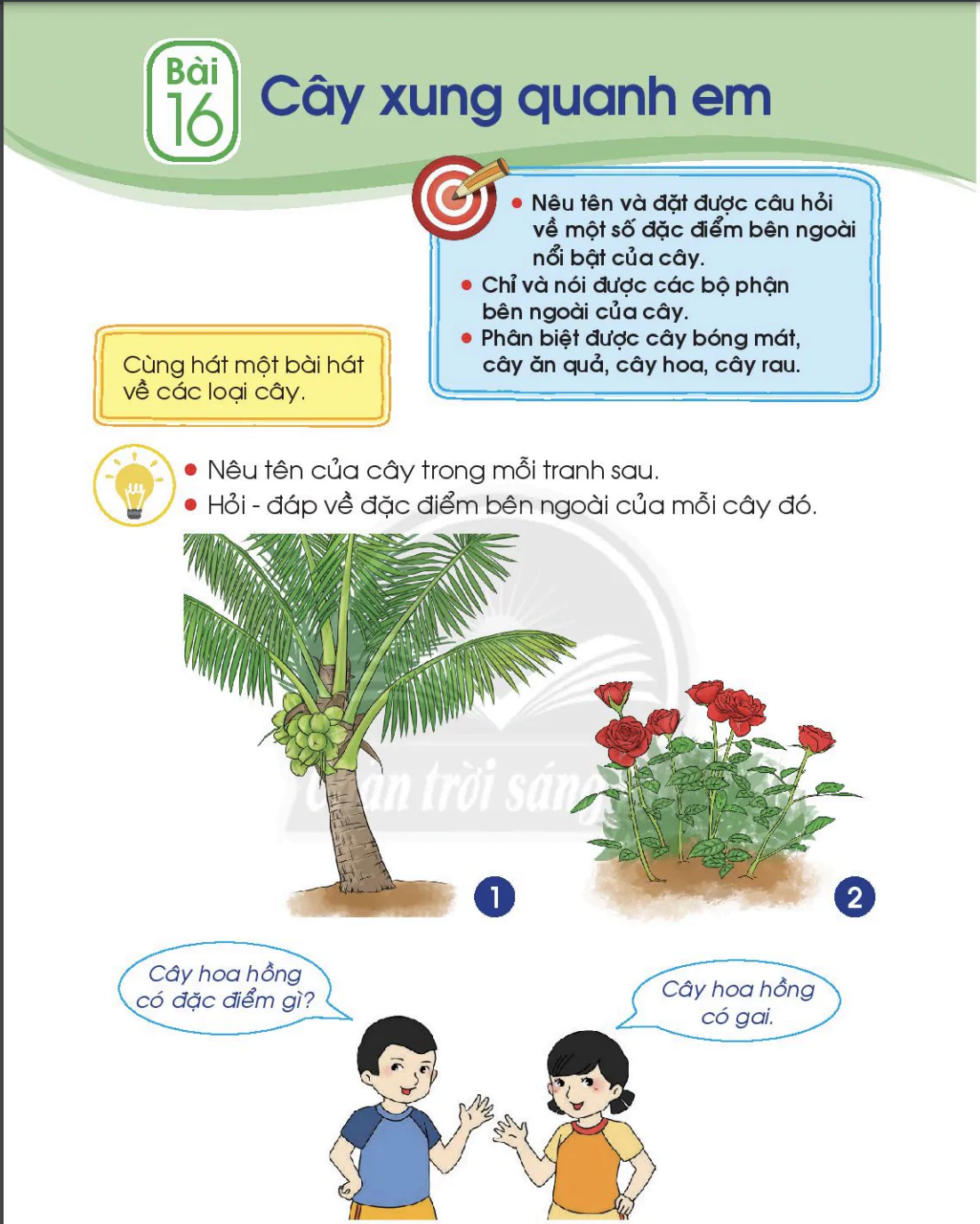 Bài 16: Cây xung quanh em