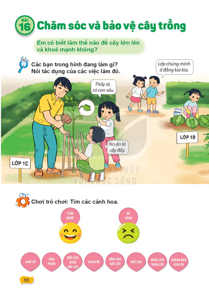 Bài 16: Chăm Sóc Và Bảo Vệ Cây Trồng
