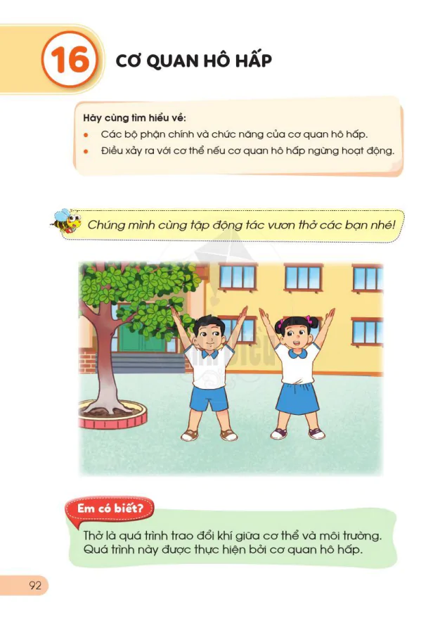 BÀI 16: CƠ QUAN HÔ HẤP