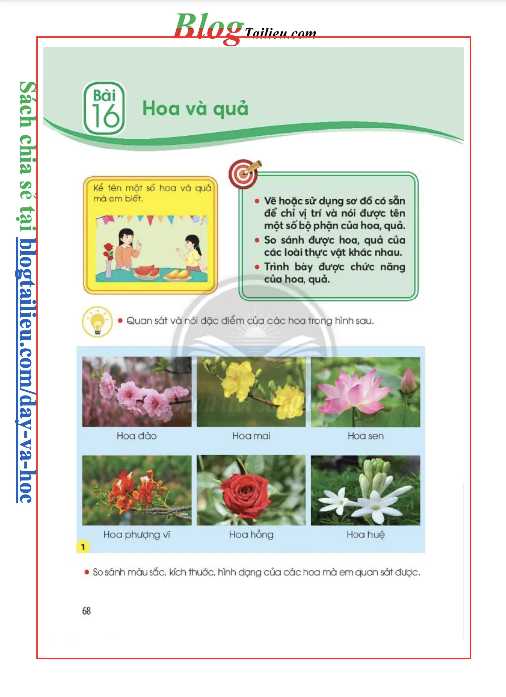 Bài 16: Hoa và quả