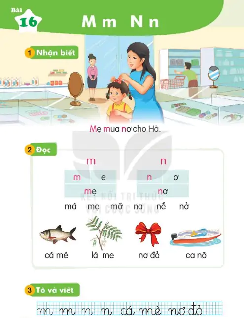 Bài 16: M m N n