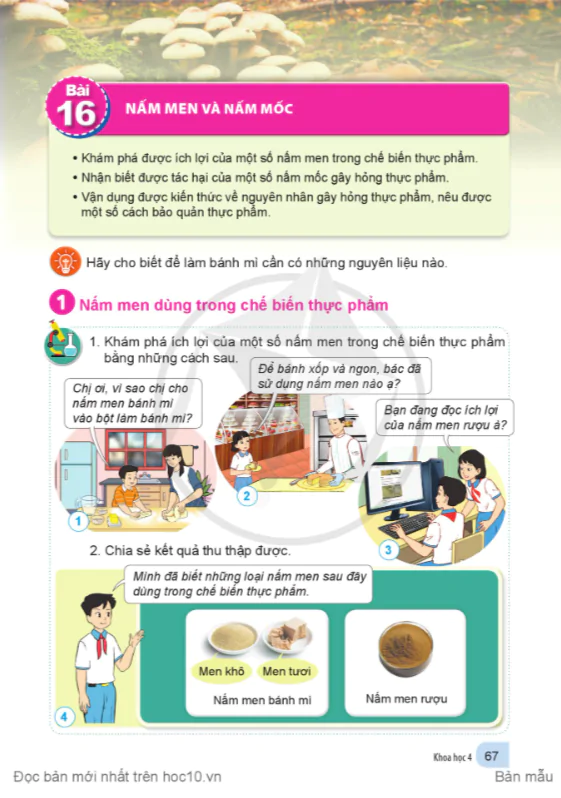 BÀI 16: NẤM LÊN MEN VÀ NẤM ĐỘC