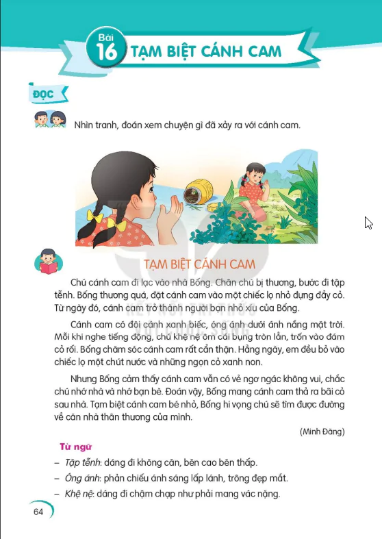 Bài 16: TẠM BIỆT CÁNH CAM