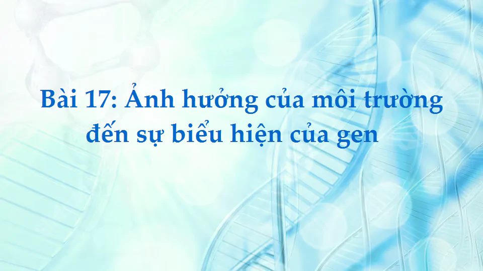 Bài 17: Ảnh hưởng của môi trường đến sự biểu hiện của gen