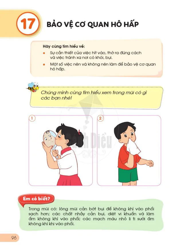 BÀI 17: BẢO VỆ CƠ QUAN HÔ HẤP