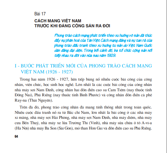 Bài 17: Cách mạng Việt Nam trước khi Đảng Cộng sản ra đời