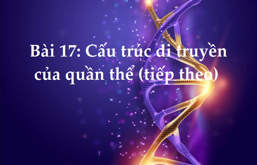 Bài 17: Cấu trúc di truyền của quần thể (tiếp theo)