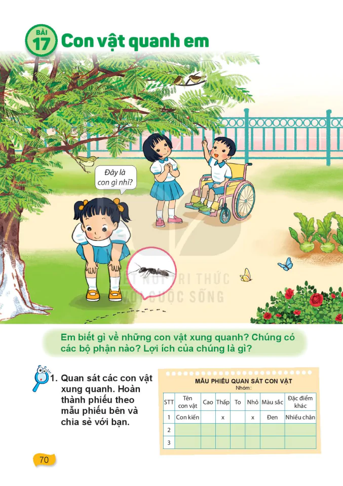Bài 17: Con Vật Quanh Em