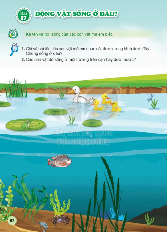 Bài 17: ĐỘNG VẬT SỐNG Ở ĐÂU?