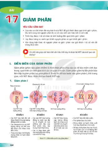 Bài 17: Giảm phân