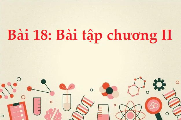Bài 18: Bài tập chương II