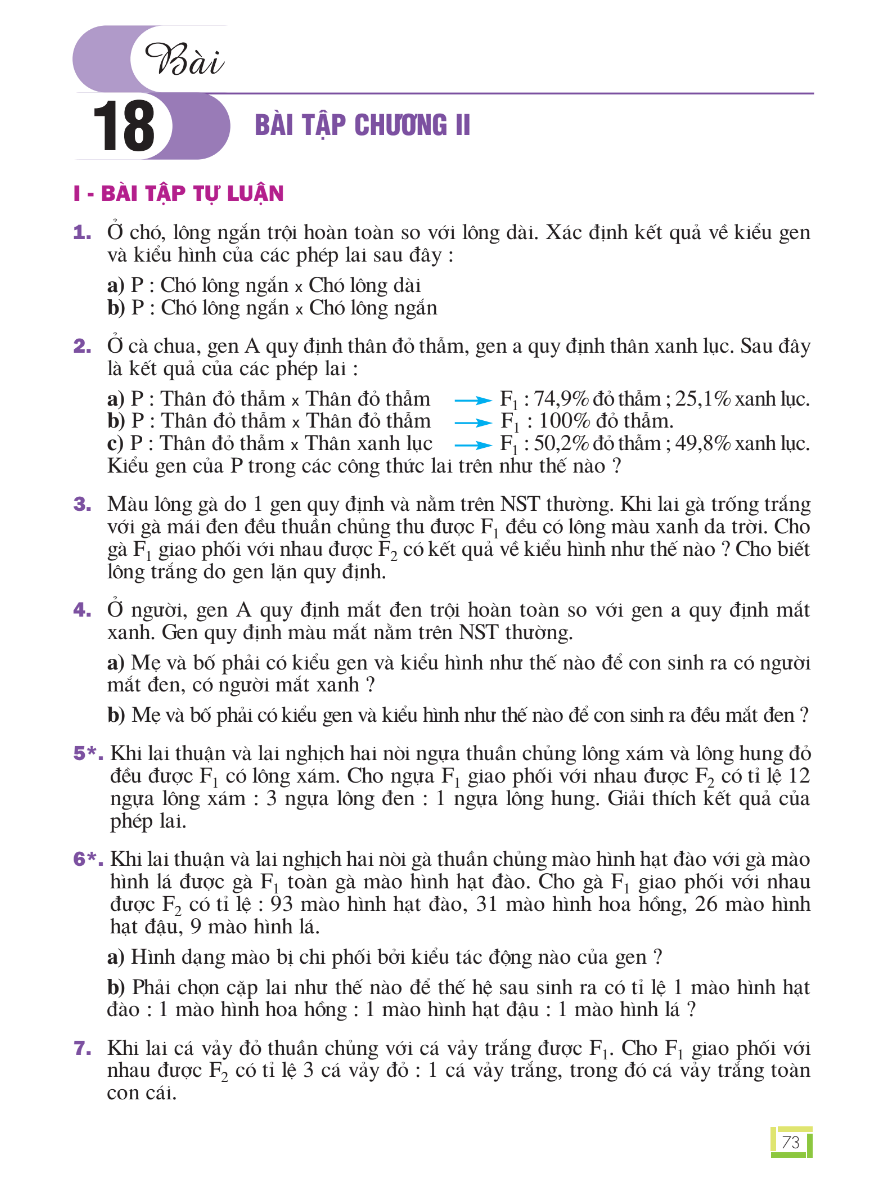 Bài 18: Bài Tập Chương II
