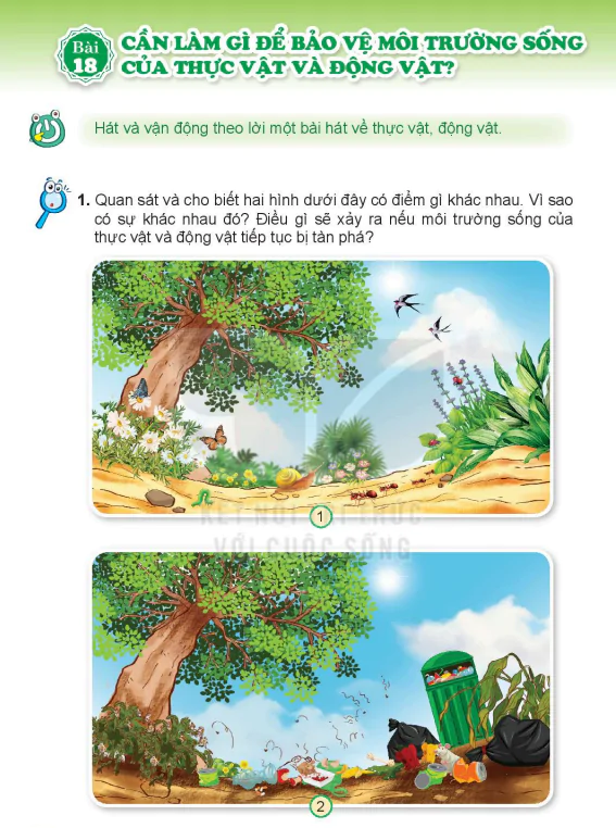 Bài 18: CẦN LÀM GÌ ĐỂ BẢO VỆ MÔI TRƯỜNG SỐNG  CỦA THỰC VẬT VÀ ĐỘNG VẬT? THỰC VẬT VÀ ĐỘNG VẬT?