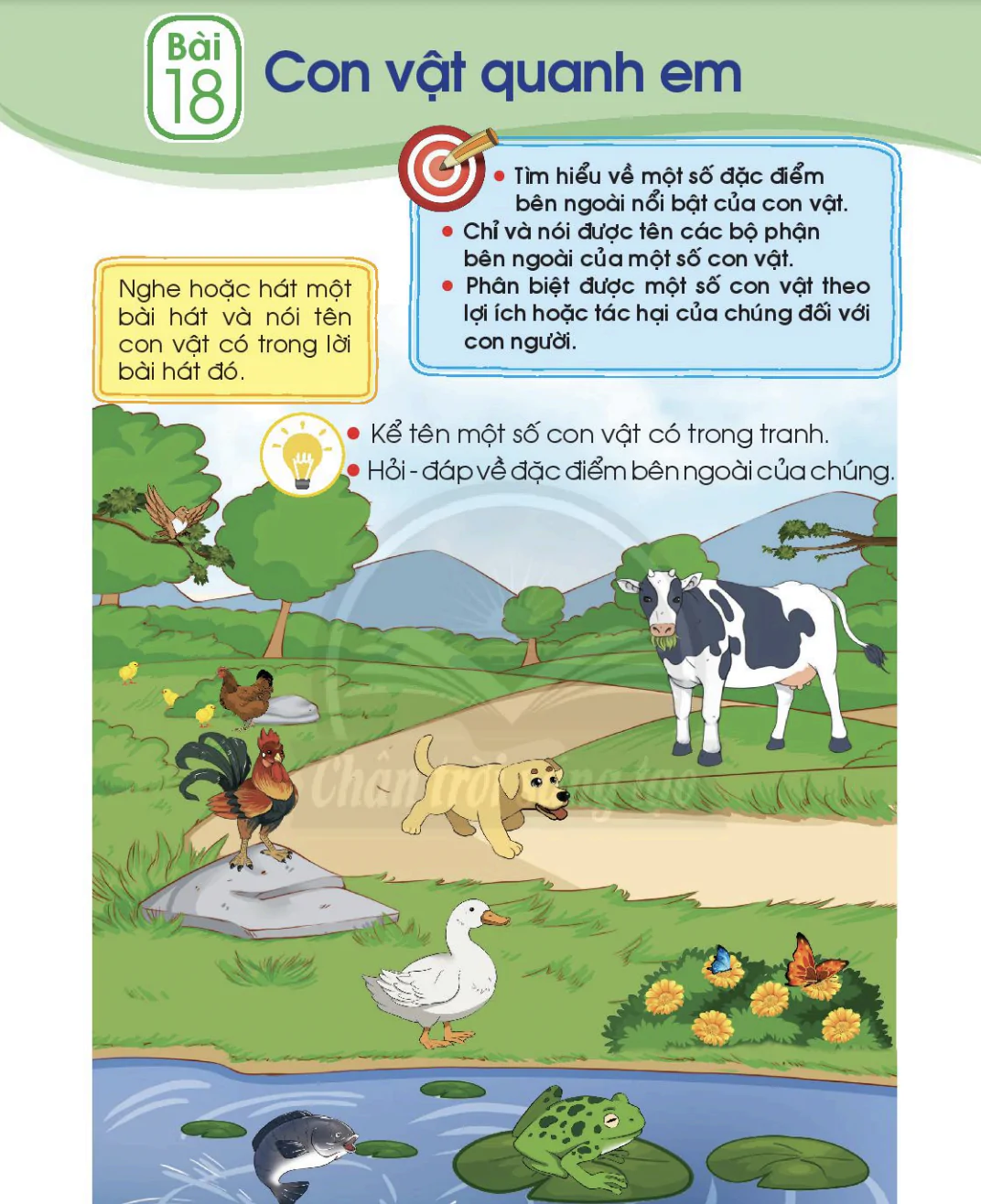 Bài 18: Con vật quanh em