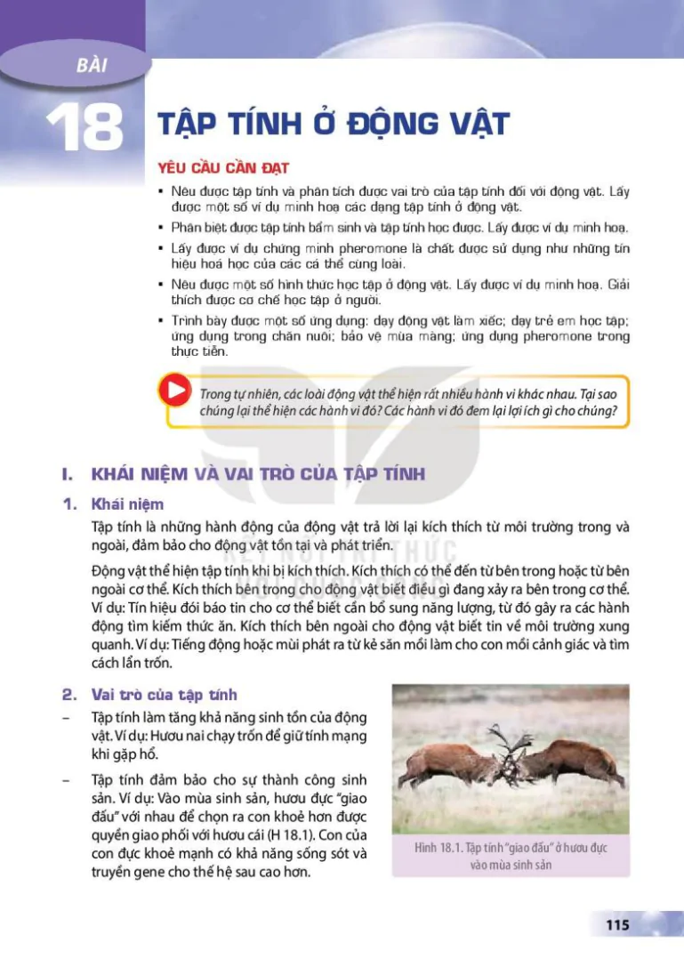 Bài 18: Tập tính ở động vật