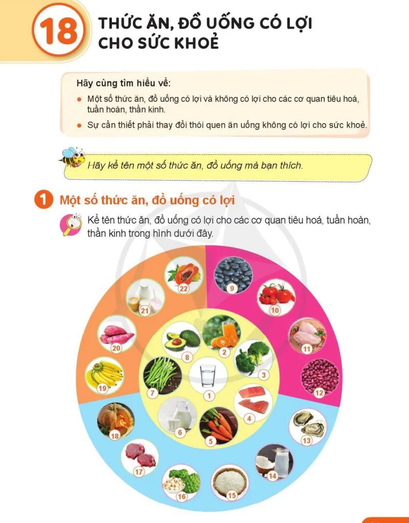 Bài 18: Thức Ăn, Đồ Uống Có Lợi Cho Sức Khỏe