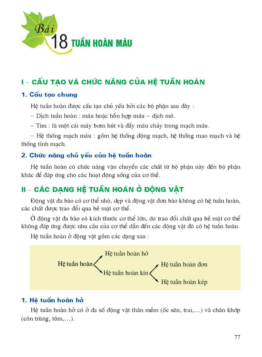 Bài 18: Tuần Hoàn Máu