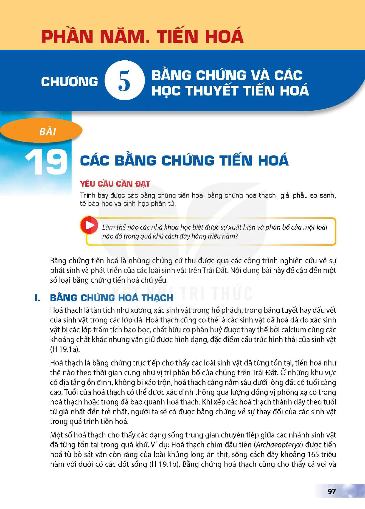 Bài 19: Các bằng chứng tiến hoá
