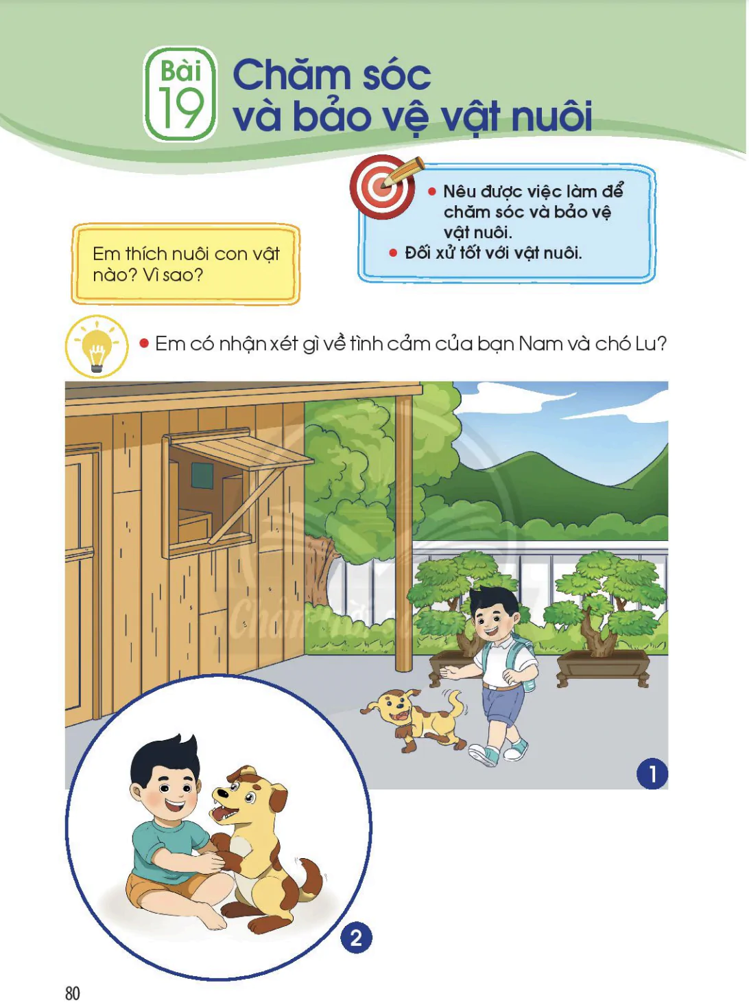 Bài 19: Chăm sóc và bảo vệ vật nuôi