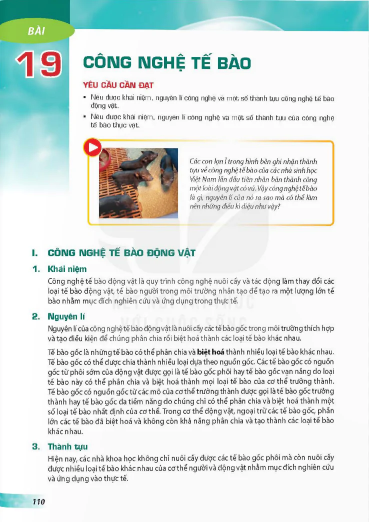 Bài 19: Công nghệ tế bào