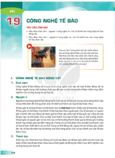 Bài 19: Công nghệ tế bào