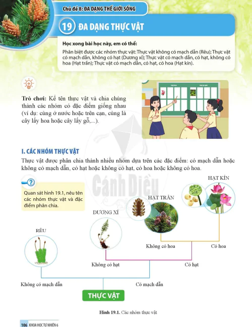 Bài 19. ĐA DẠNG THỰC VẬT