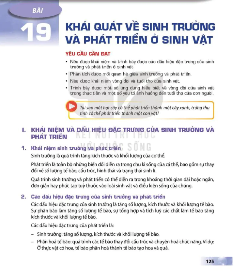 Bài 19: Khái quát về sinh trưởng và phát triển ở sinh vật
