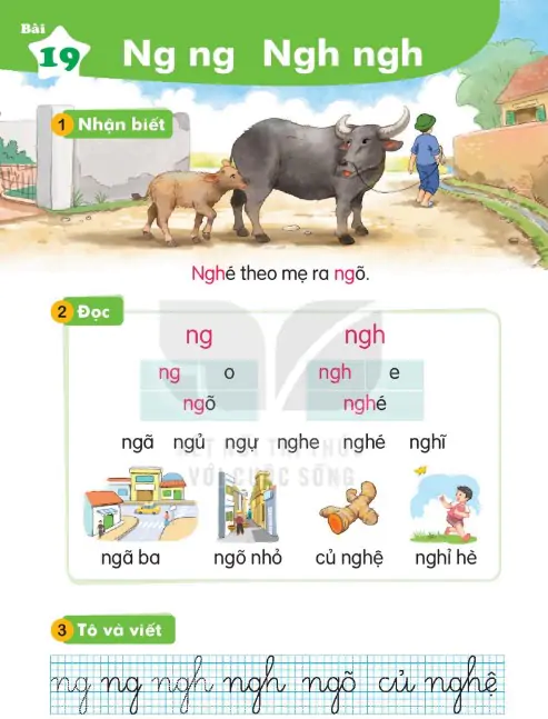 Bài 19: Ng ng Ngh ngh