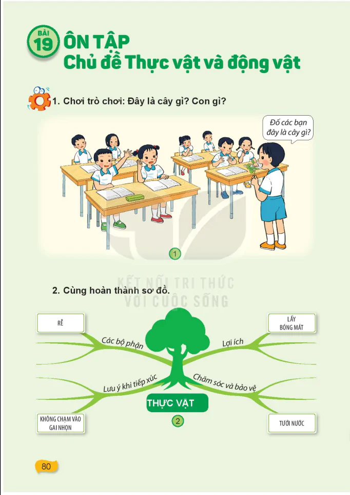 Bài 19: Ôn Tập Chủ Đề Thực Vật Và Động Vật