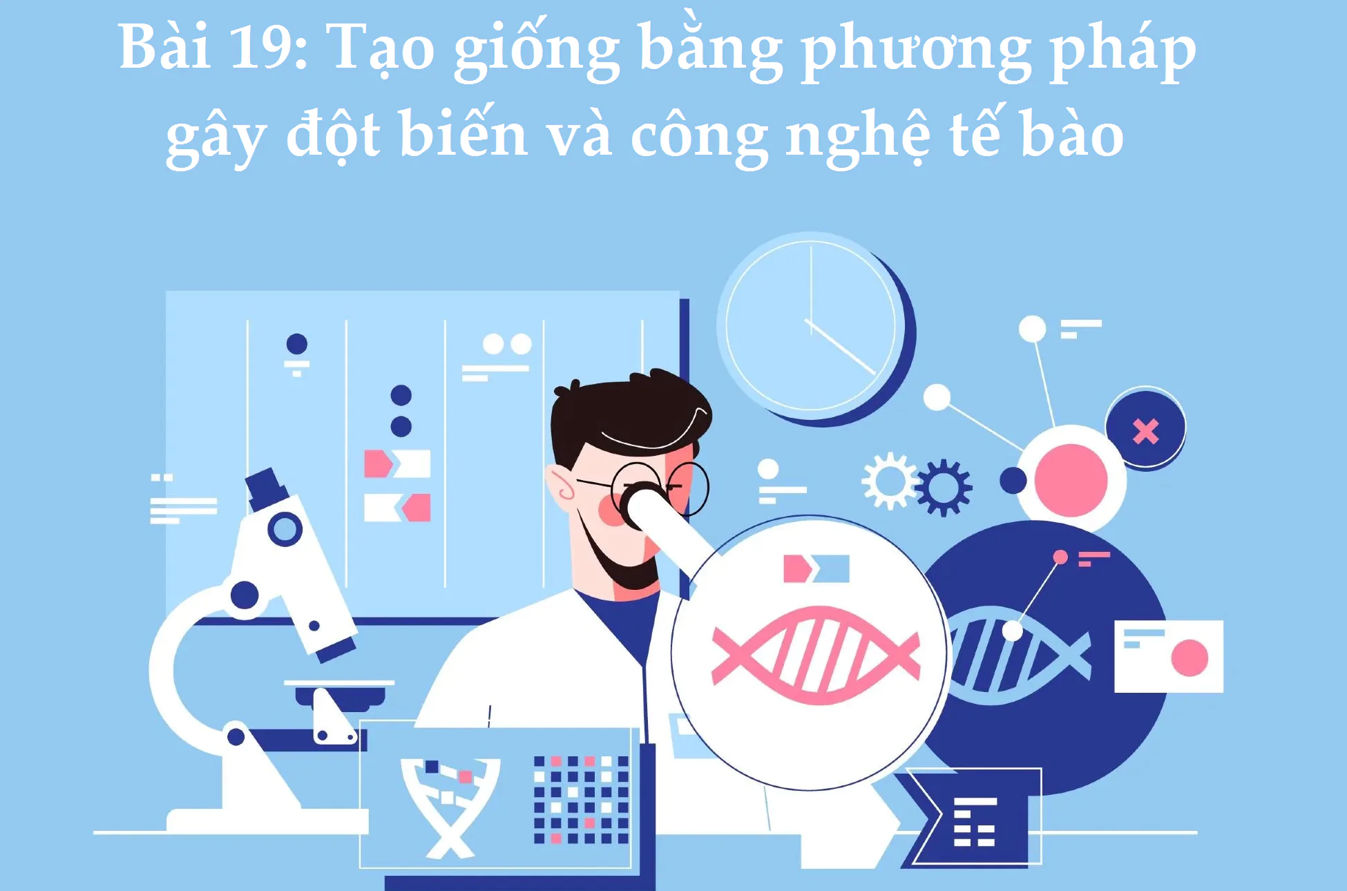 Bài 19: Tạo giống bằng phương pháp gây đột biến và công nghệ tế bào