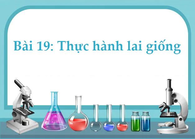 Bài 19: Thực hành lai giống