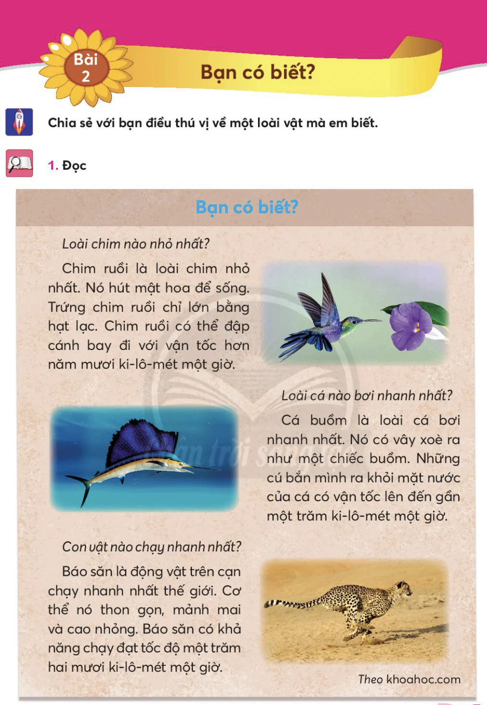 Bài 2: Bạn có biết