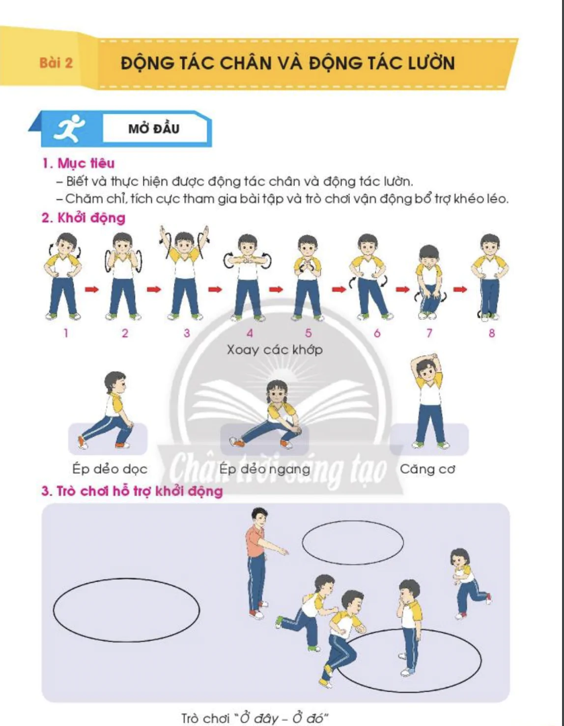 Bài 2: Động tác chân và động tác lườn