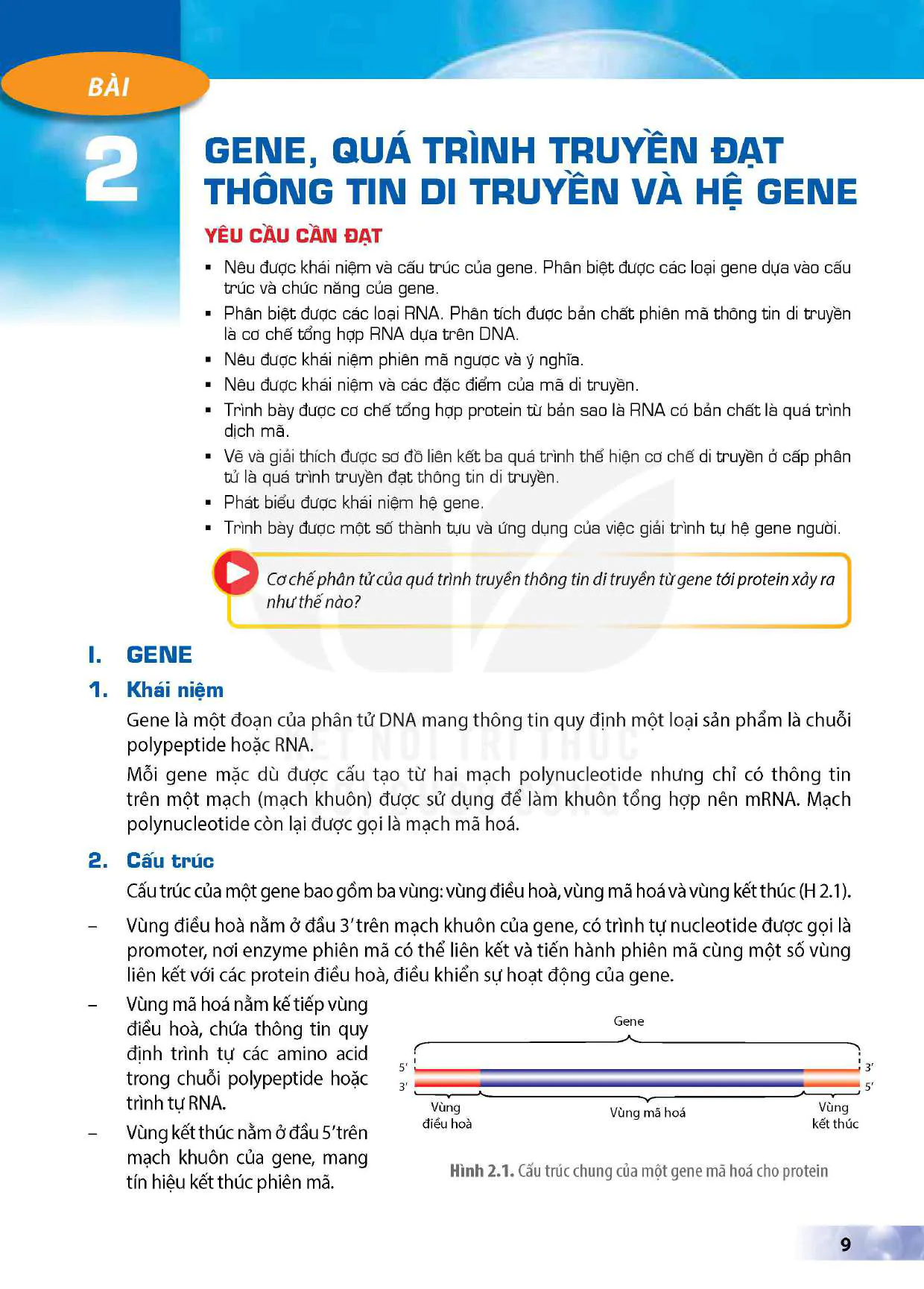 Bài 2: Gene, quá trình truyền đạt thông tin di truyền và hệ gene