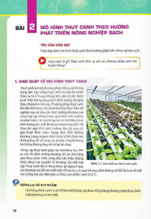 Bài 2: Mô Hình Thủy Canh Theo Hướng Phát Triển Nông Nghiệp Sạch