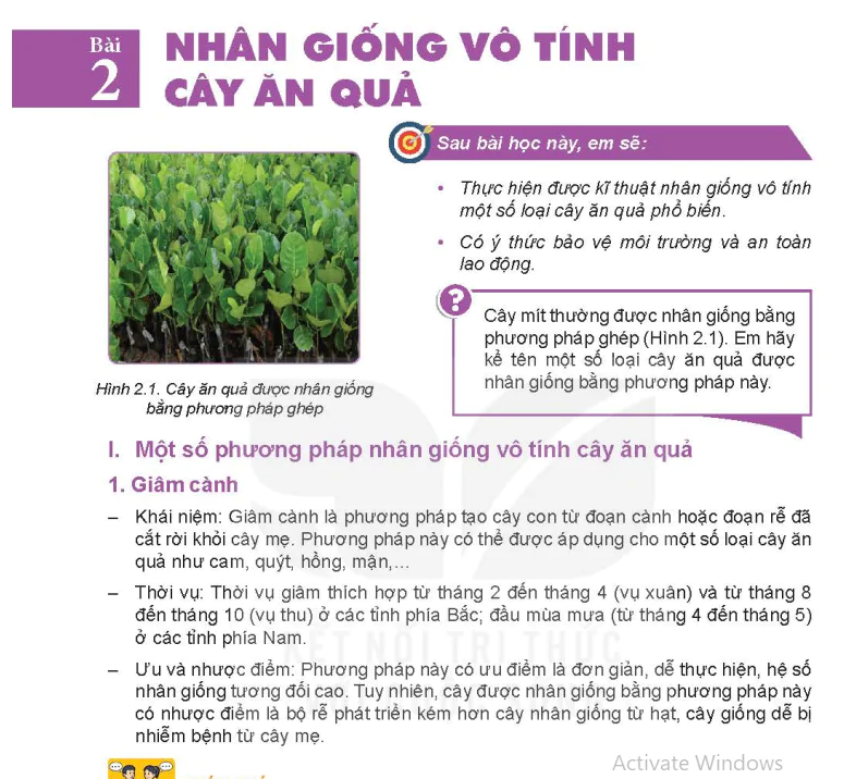 Bài 2: Nhân giống vô tính cây ăn quả