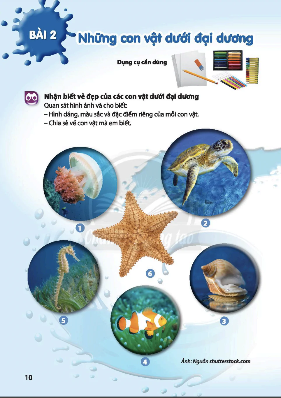 Bài 2: Những con vật dưới biển