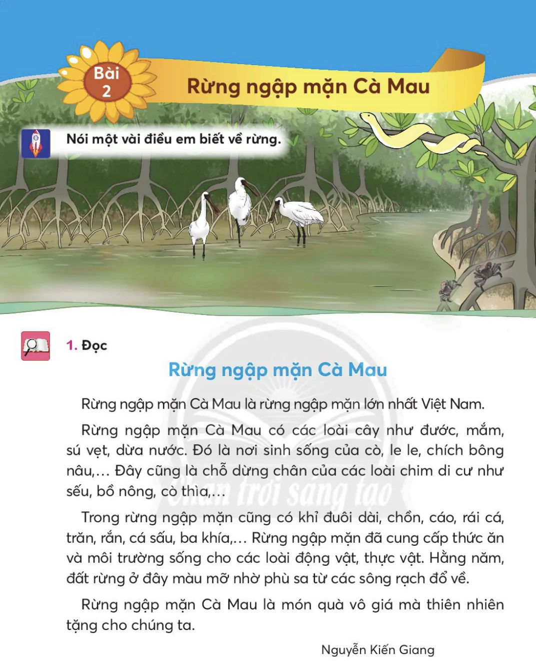 Bài 2: Rừng ngập mặn Cà Mau