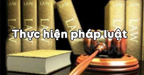 Bài 2: Thực hiện pháp luật