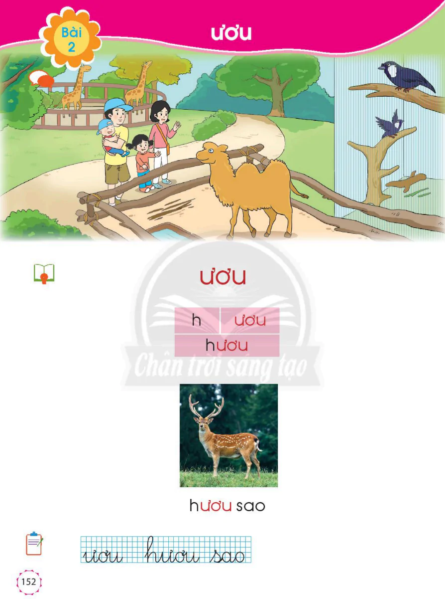 Bài 2: ươu