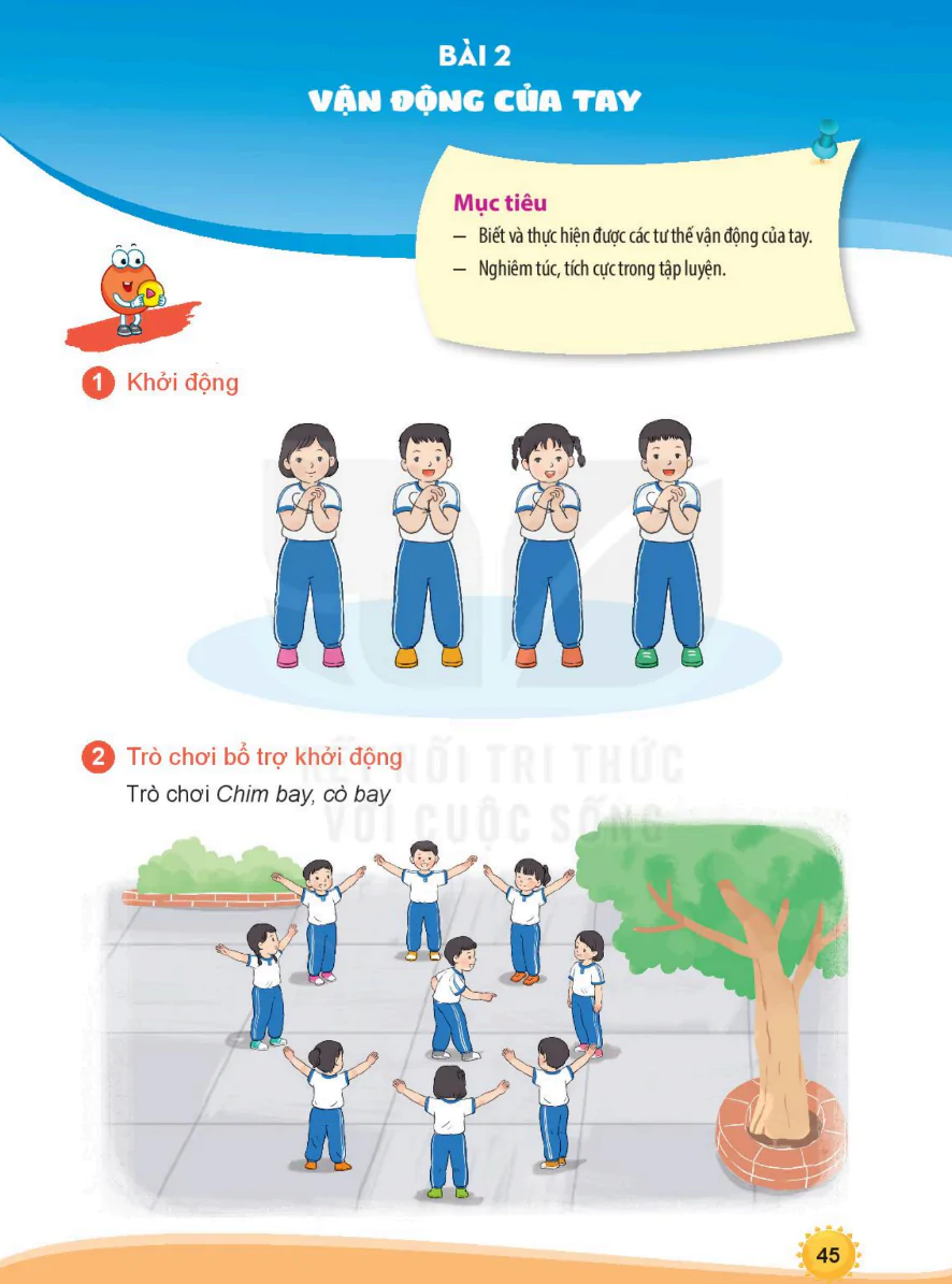 Bài 2: Vận Động Của Tay