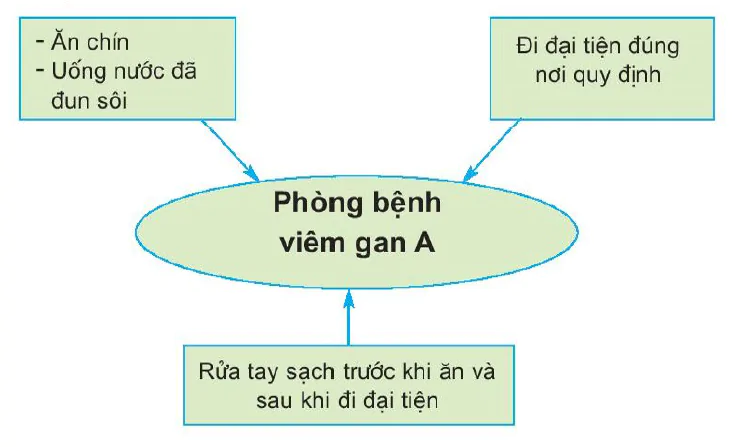 Bài 20 - 21. Ôn tập: Con người và sức khỏe