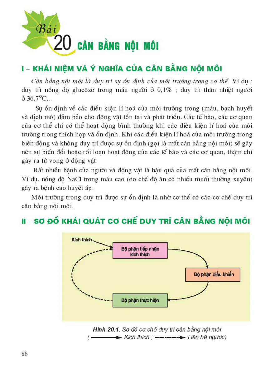 Bài 20: Cân Bằng Nội Môi
